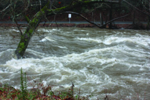 Heavy rains on Jan. 14-17 resulted in flooding in parts of Cherokee, and as a result, the Tribe has been the first American Indian tribe to receive a Presidential Disaster Declaration under the Stafford Act.  (ELVIA WALKINGSTICK/One Feather)