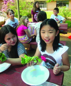 Sophia Pete and Kaitlin ly are shown learning to make lettuce wraps.  (SMES photo) 