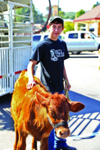 Anthony Toineeta is shown at last year's livestock judging.  (Photo by Kristy M. Herron/EBCI Commerce) 