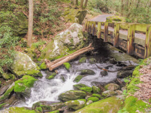 One of the Eight Roaring Fork Bridges side view