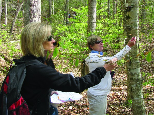Volunteers learn how to collect tree phenology data for an on-going study in Great Smoky Mountains National Park. (NPS photo) 