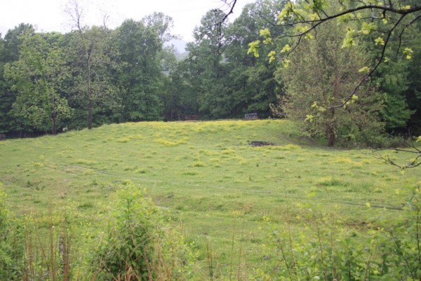 The Eastern Band of Cherokee Indians is set to purchase close to 12 acres in Graham County, and in doing so will take ownership over an historical Cherokee site.  The land, known as the Tallulah Property, home to the historical town of Tallulah and a mound.  (Photo courtesy of TJ Holland/Junaluska Museum)