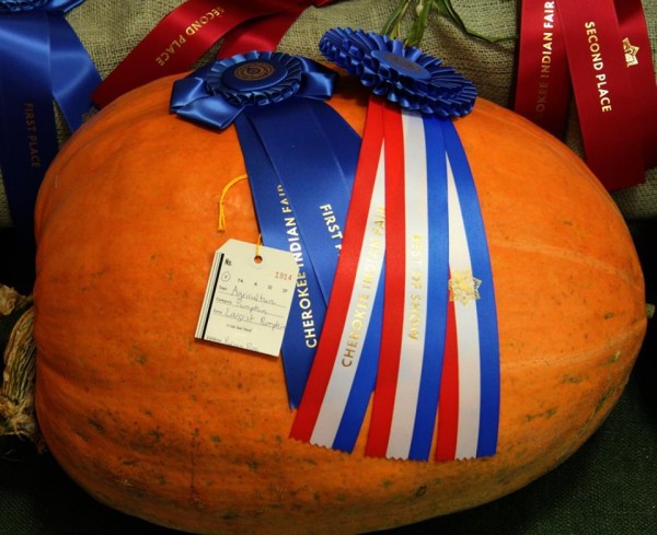 Vivian Ross won a first place ribbon and a Best of Show ribbon in the Largest Pumpkin category in the Youth Division of the 2015 Cherokee Indian Fair EBCI Cooperative Extension contest. (SCOTT MCKIE B.P./One Feather photos) 