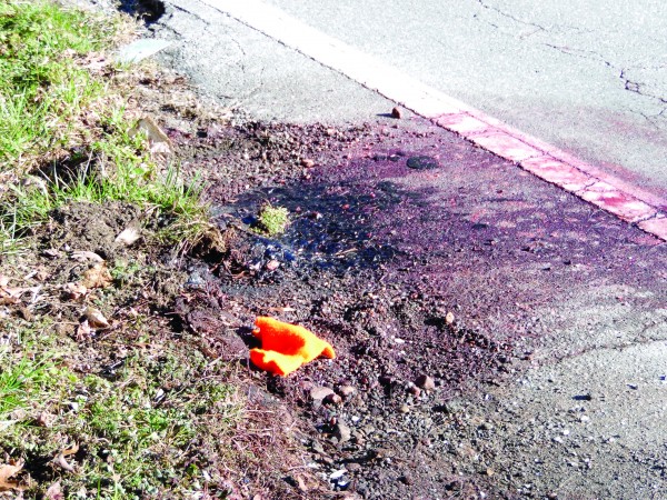The side of the road is stained with the blood of a bull elk killed in a collision with a Toyota Tundra on US Highway 19 on Tuesday, Feb. 9.  (ROBERT JUMPER/One Feather) 