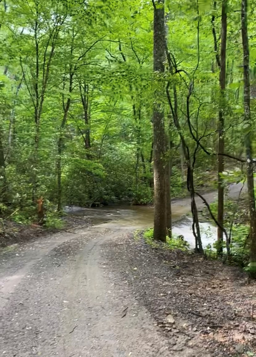 Park reopens Parson Branch Road after sixyear closure The Cherokee
