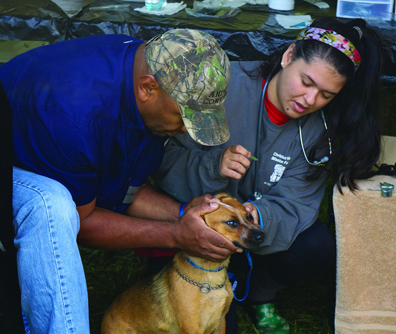 Christian Veterinary Mission provides services in Cherokee