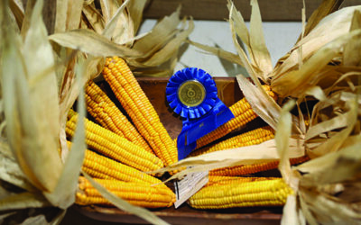 Cherokee Indian Fair 2022 EBCI Cooperative Extension winners