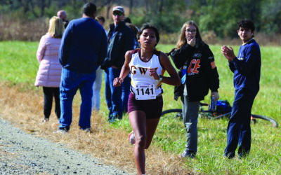 CROSS COUNTRY: Running hard – Cherokee Braves repeat as regional team champs; Swimmer wins girls title