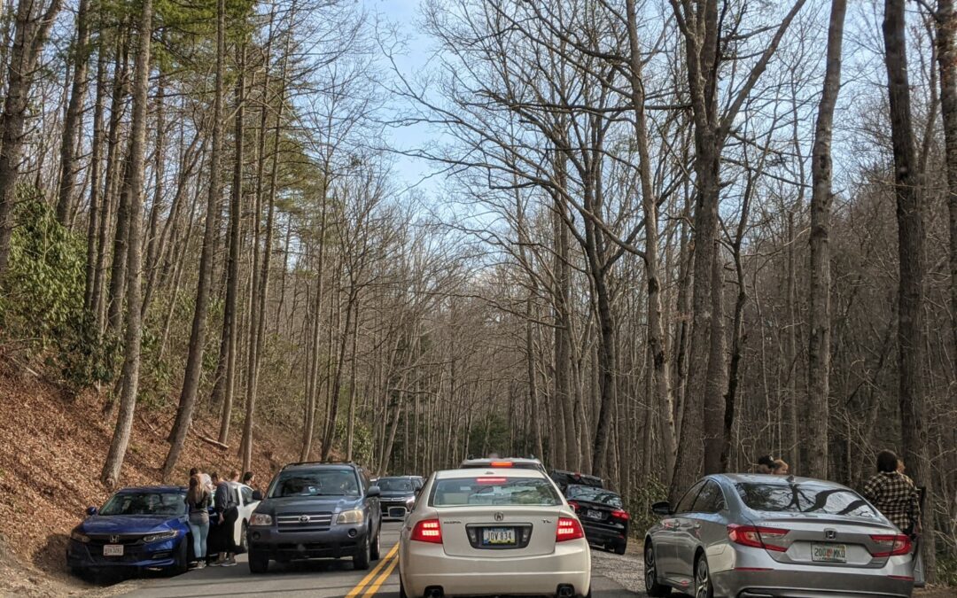 Park takes steps to increase parking safety near busy trailheads 