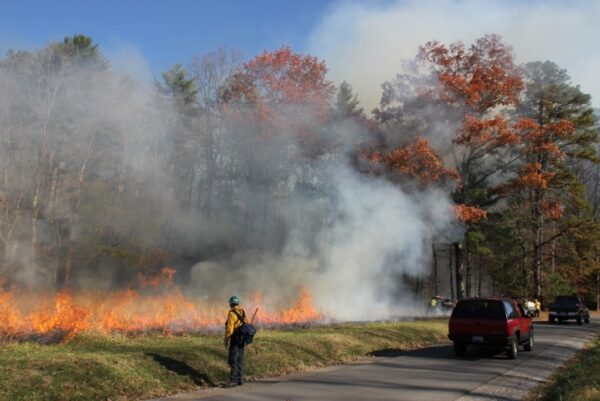 Spring prescribed fires planned in Cades Cove 