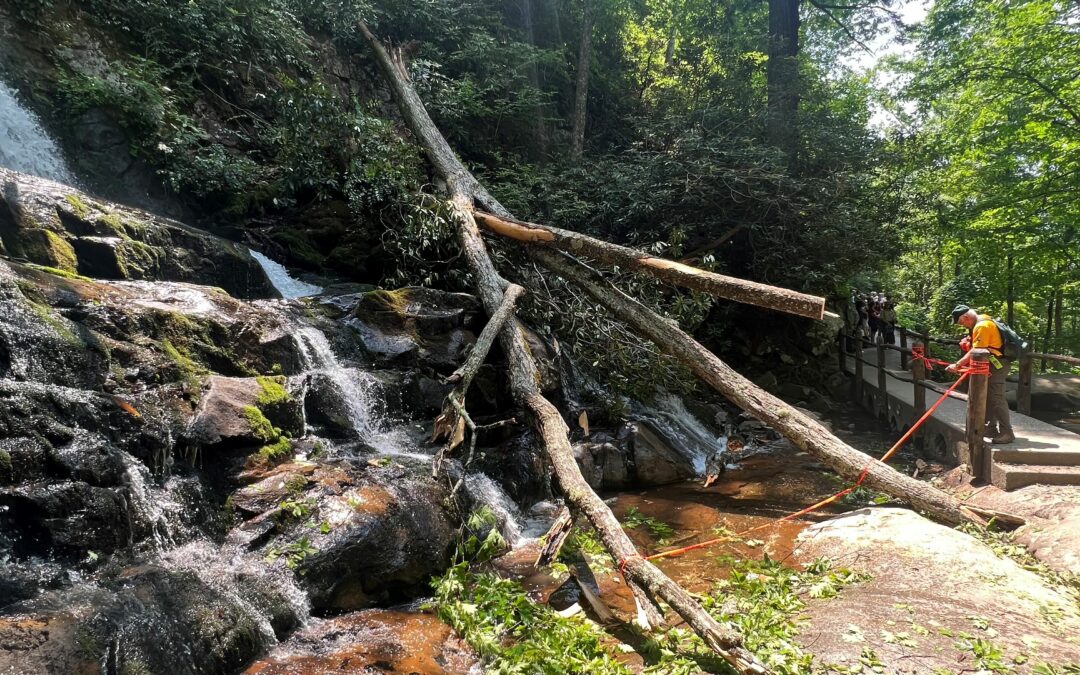 Laurel Falls Trail to close July 11 for tree removal and bridge repair 