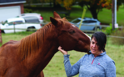 The Kituwah Equestrian Program is revitalizing Kituwah horse culture