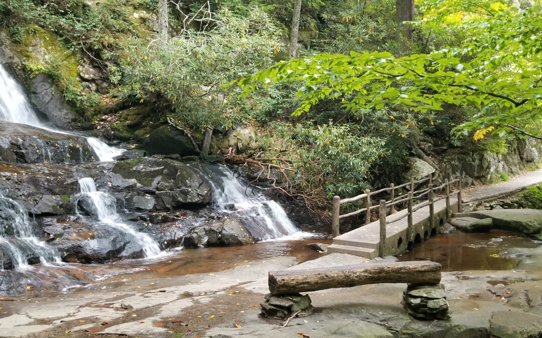 National Park Service takes next steps to improve visitor experience at Laurel Falls Trail