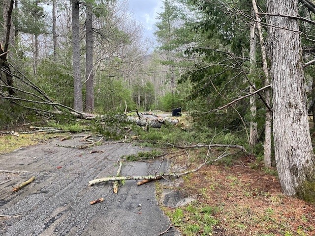 Multiple park roads closed due to downed trees 
