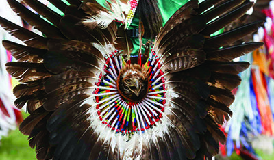 COMMENTARY: The U.S. government should enforce eagle feather regulations