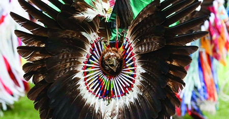 COMMENTARY: The U.S. government should enforce eagle feather regulations