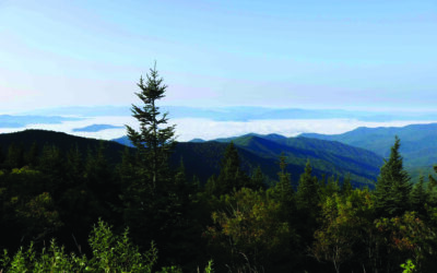 Dinilawigi establishes Eastern Band of Cherokee Place Names Committee