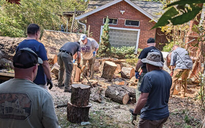 LETTER: A heartfelt thank you to the CIPD volunteering in the storm clean up in AVL