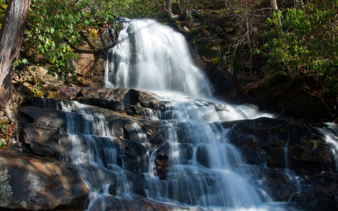 National Park Service to begin major rehabilitation of Laurel Falls Trail in January