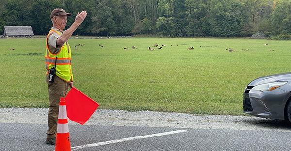 Great Smoky Mountains National Park seeks Elk Rover volunteers for 2025 season
