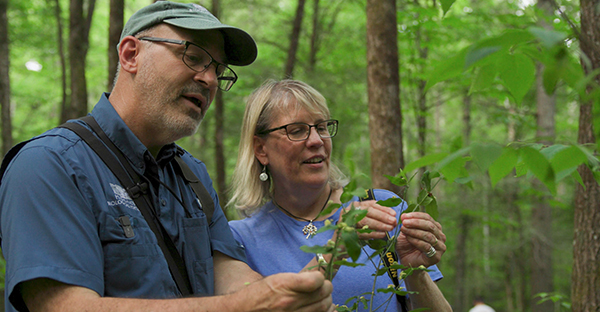 Smokies Life now accepting applications for 2026 Steve Kemp Writer’s Residency
