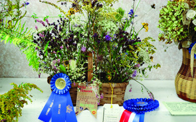 113th Cherokee Indian Fair EBCI Cooperative Extension winners