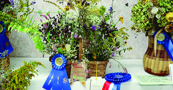 113th Cherokee Indian Fair EBCI Cooperative Extension winners