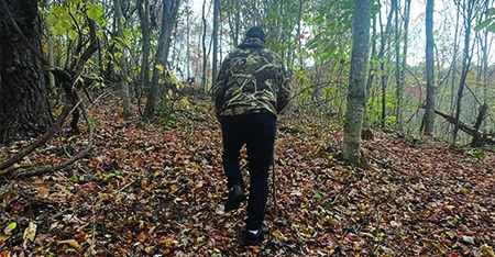 Living the Arte Suave: Walks of opportunity