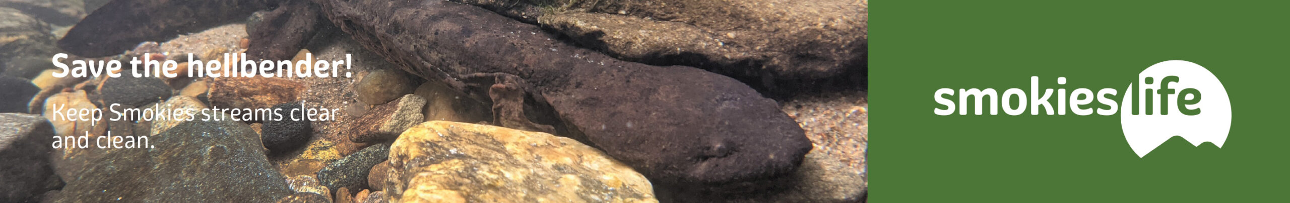 Smokies Life Hellbender Banner