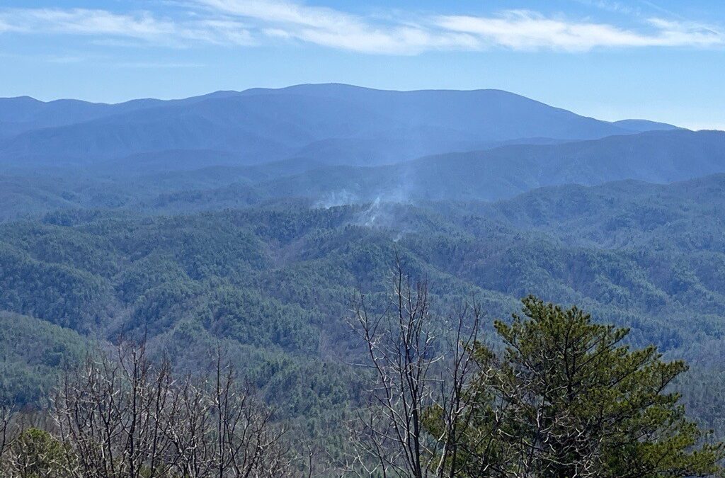 Firefighters continue to suppress the Rabbit Creek Fire in Park