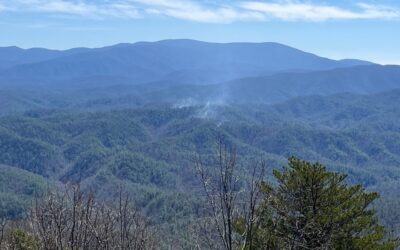 Firefighters continue to suppress the Rabbit Creek Fire in Park