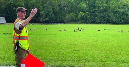 Great Smoky Mountains National Park seeks Elk Rover volunteers for 2026 Season 