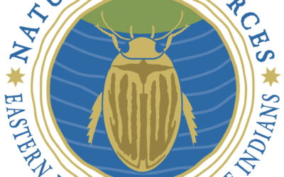 EBCI Natural Resources receives grant for greenhouse to propagate river cane