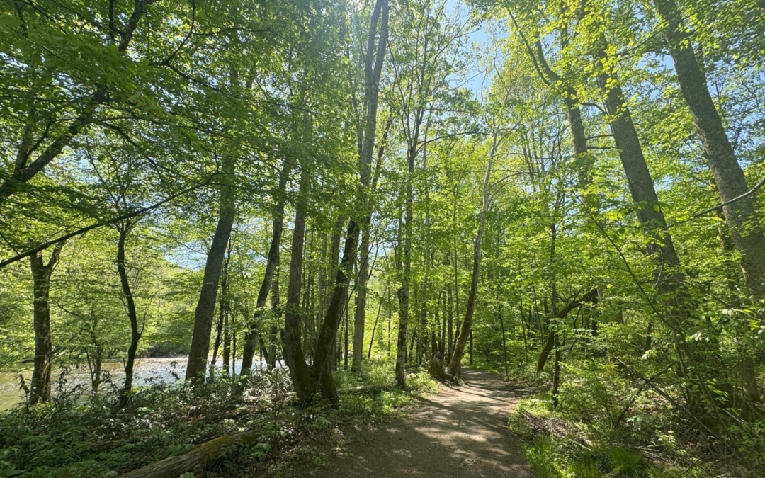 Park invites public review of Floodplain Statement of Findings for Oconaluftee River Trail Improvements