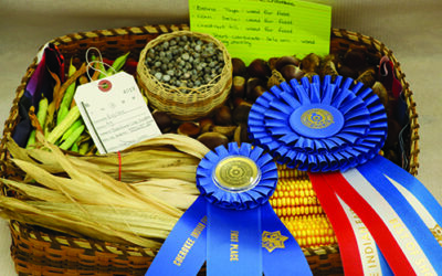 114th Cherokee Indian Fair winners in EBCI Cooperative Extension contests